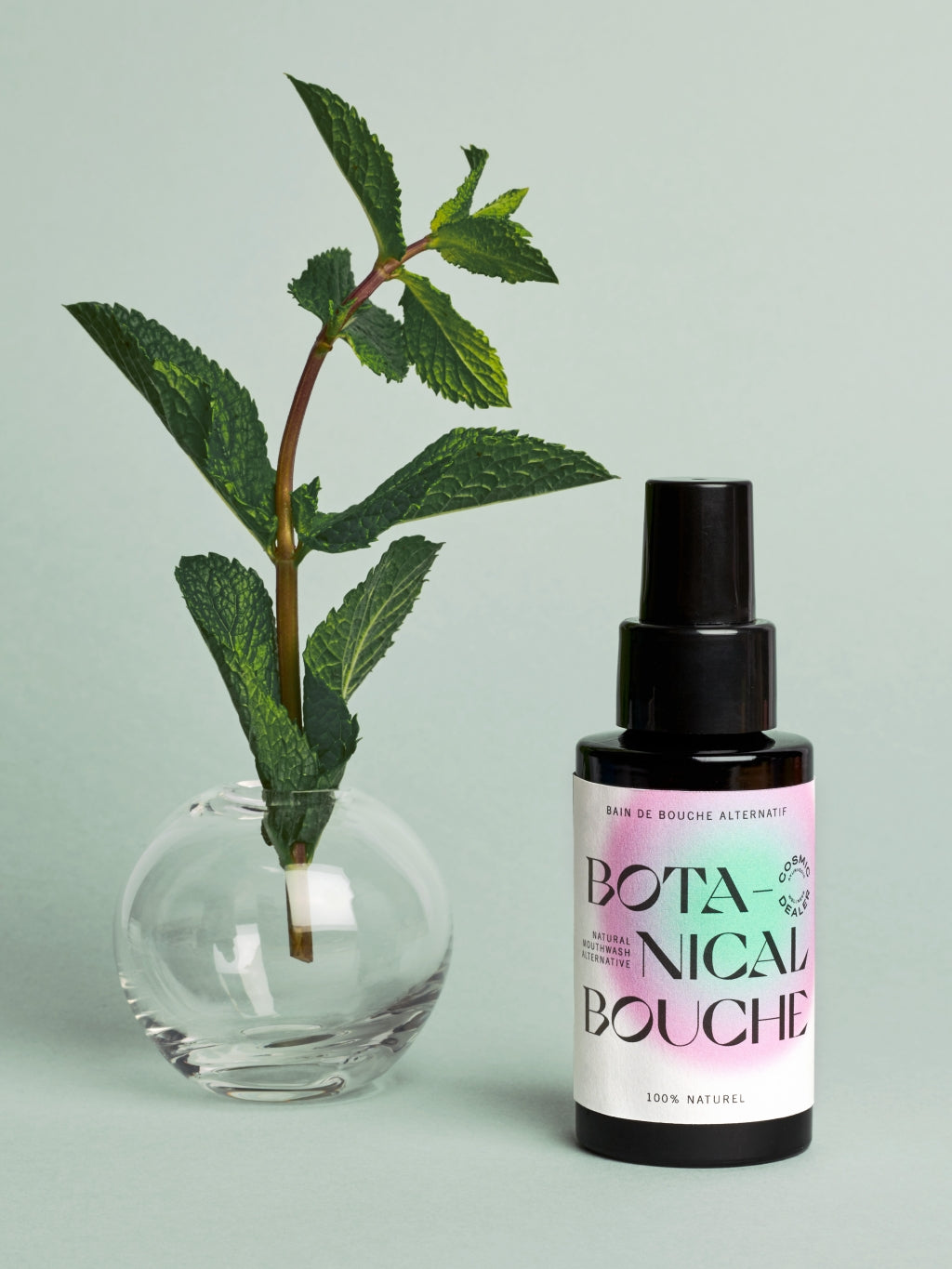 Cosmic Dealer - Botanical Bouche | Inspiration Her